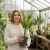 chamaerops hubilis.webp